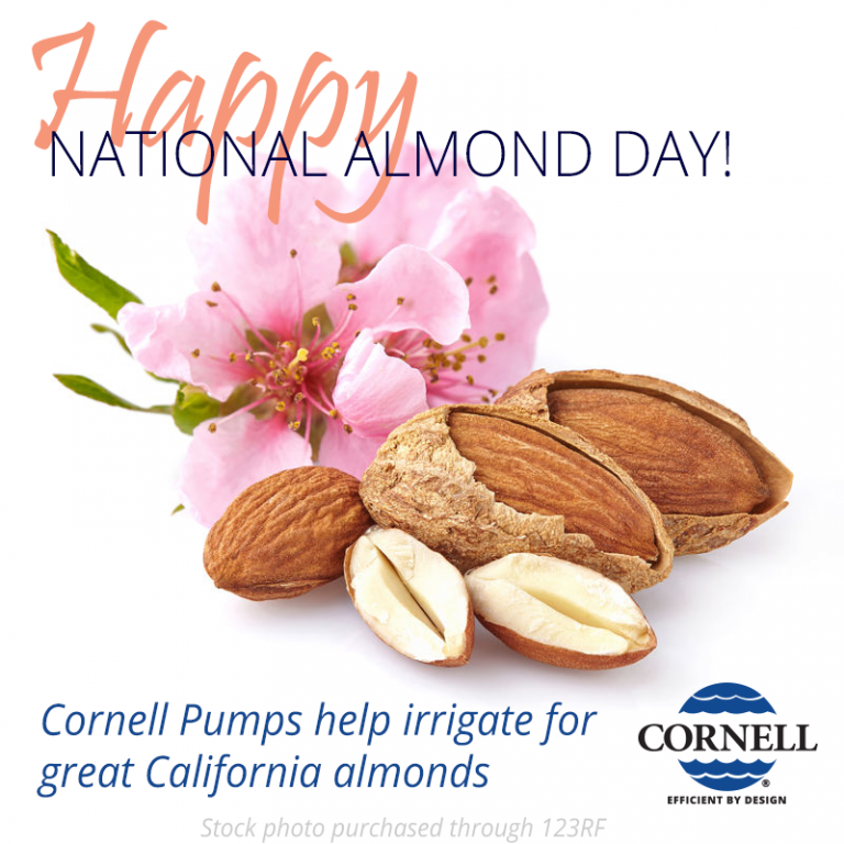 Happy National Almond Day! Cornell Pump Company