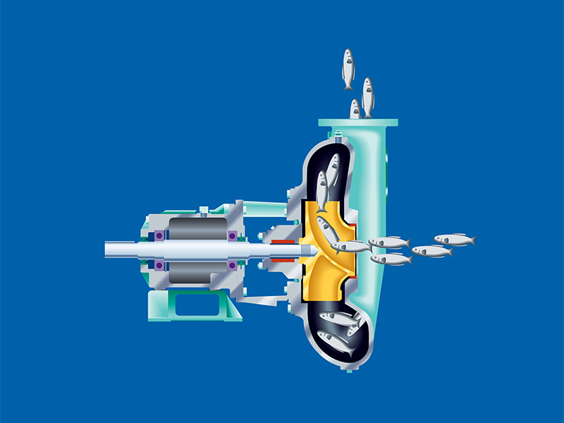 HYDRO-TRANSPORT FOOD SERIES